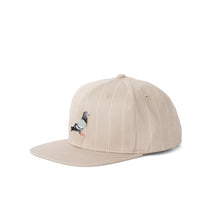 Load image into Gallery viewer, Staple Pinstripe Pigeon Snapback - Stone