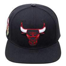 Load image into Gallery viewer, Pro Standard Chicago Bulls Logo Snapback Hat